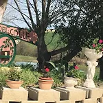 Fattoria Del Colle Iesi