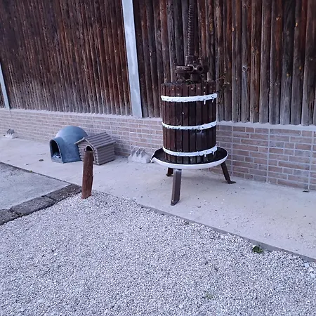 Fattoria Del Colle