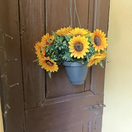 Farm stay Fattoria Del Colle Iesi
