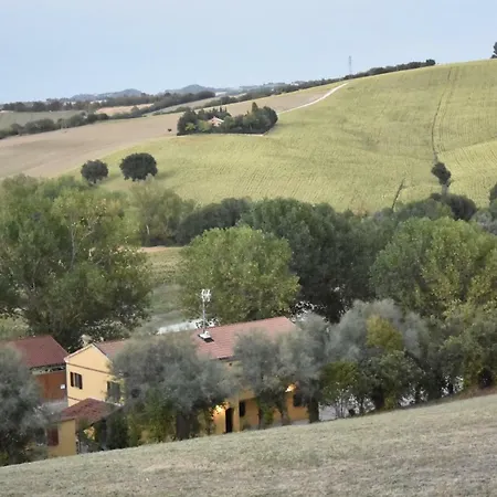 Fattoria Del Colle Farm stay