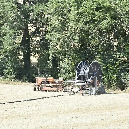 Fattoria Del Colle *