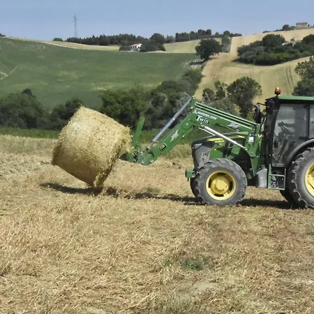 Fattoria Del Colle イェージ