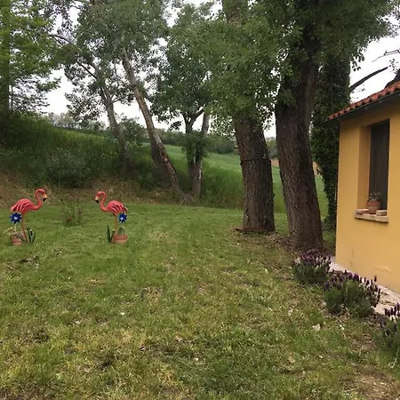 Fattoria Del Colle