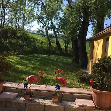 Fattoria Del Colle *