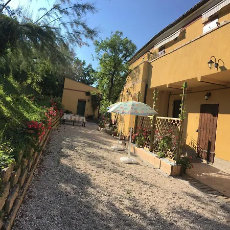 Fattoria Del Colle