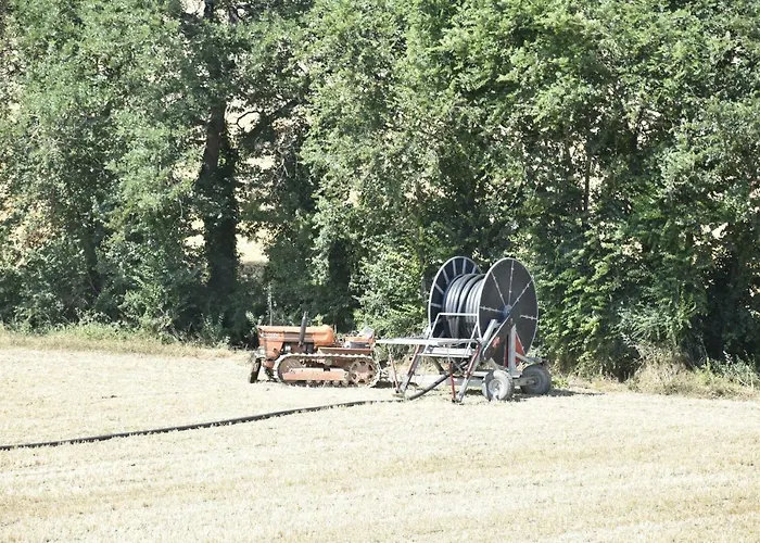 Fattoria Del Colle *